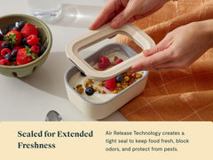 Mini Rectangle Container 6-pack